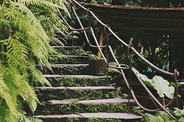 If you want to make sure you are effectively marketing your property, follow these steps. 