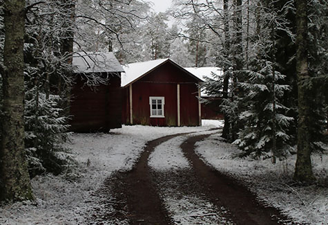 Property Maintenance Asheville, NC