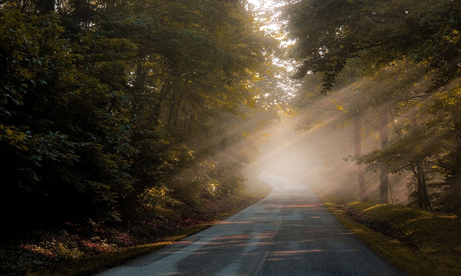 3899dfe821816fbcb3db3e3b23f81585 Blog - Asheville Phoenix Properties