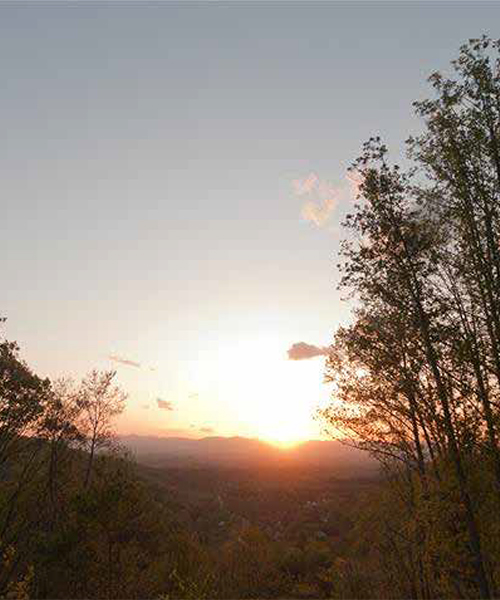 property management candler nc