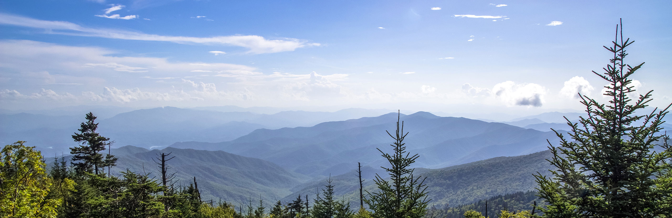 property management black mountain nc