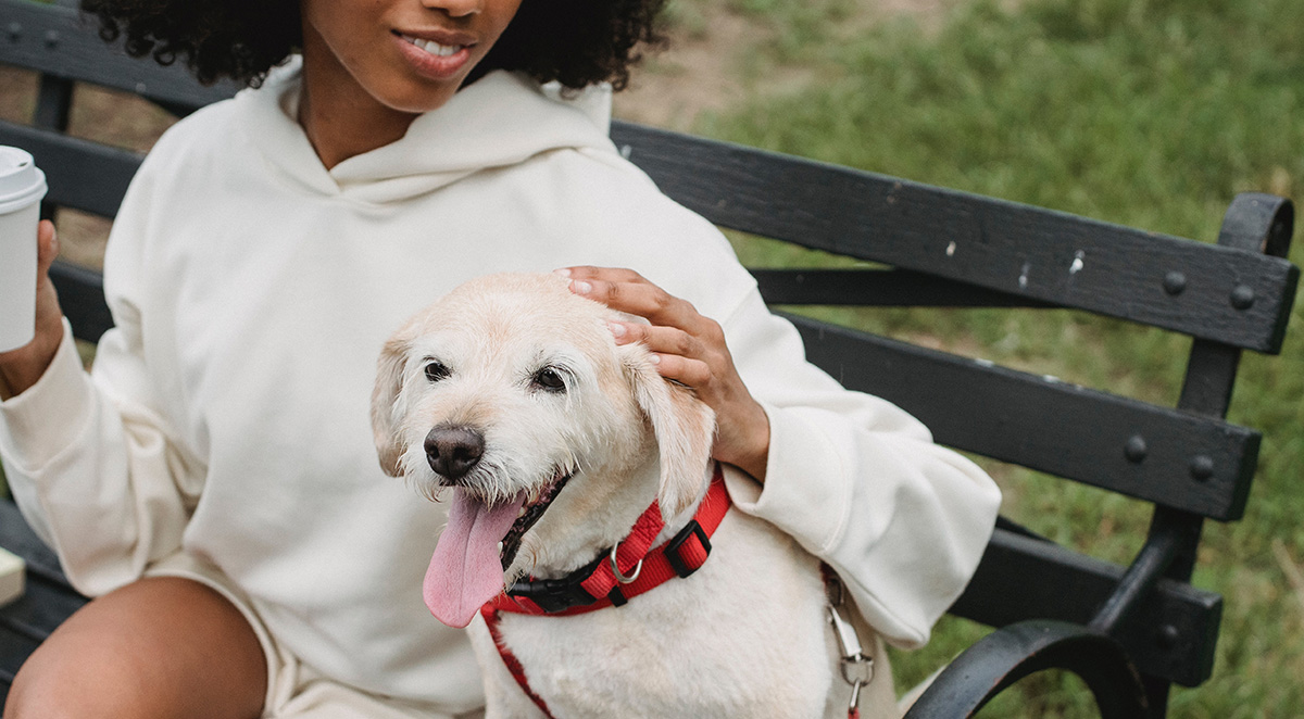 pros cons pet friendly