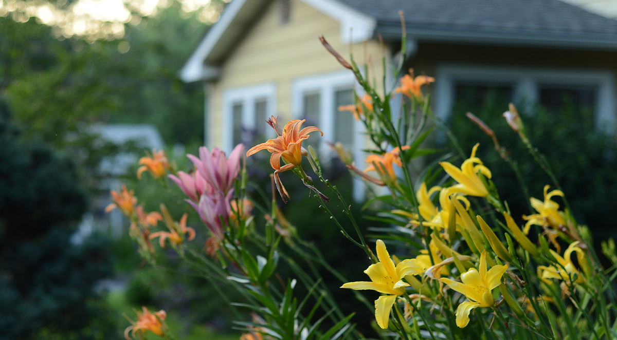 summer_property_improvements_that_attract_quality_tenants_and_increase_rental_value Blog - Asheville Phoenix Properties | Items 6-10