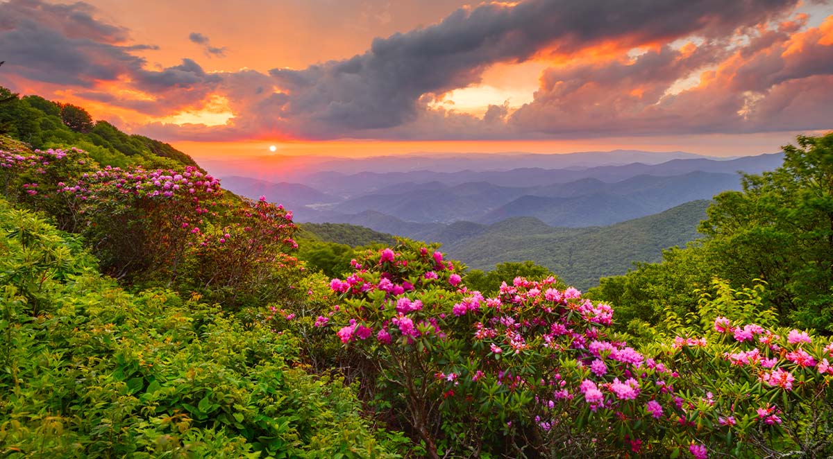 Weaverville Professional Property Management